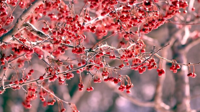 uploaded-image-umurlunun-gelecekteki-vizyonu-ve-gelisim-planlari-1697893380381